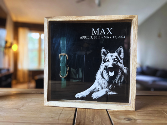 Collar Display Shadow Box